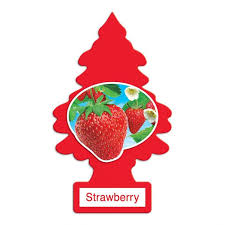 Little trees air fresheners